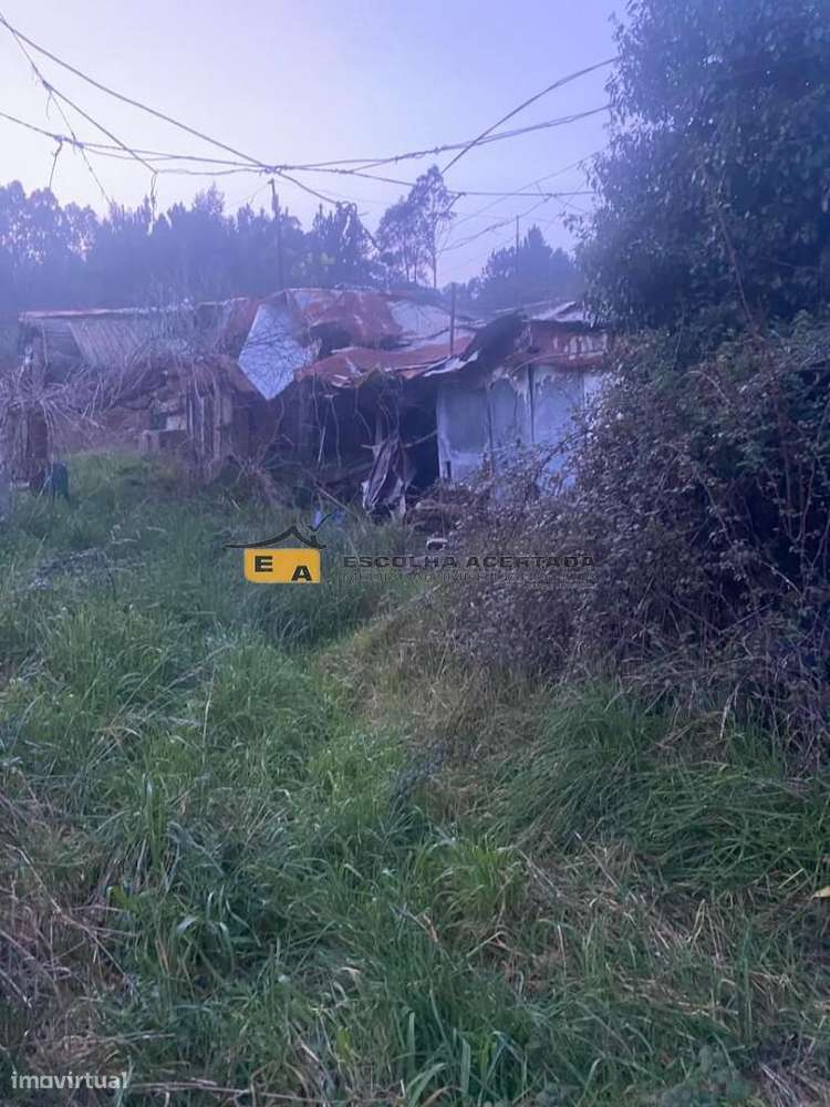 3 Lotes de terreno rústico Ferreirinha - Gondomar - Grande imagem: 4/20