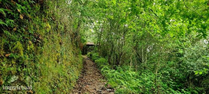 2 casas em pedra, xisto e lousa em ambiente natural - Grande imagem: 5/6