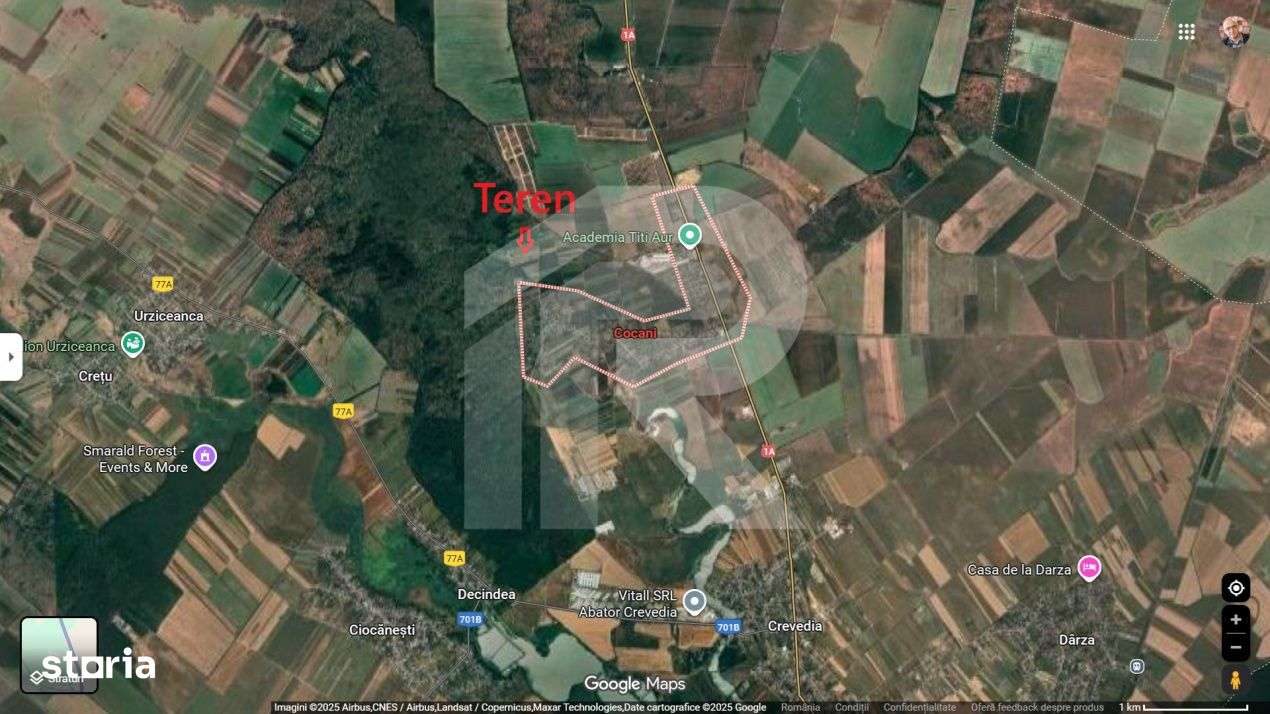 Refugiu la marginea padurii — 2822 mp de liniste in Cocani. - Imagine principală: 2/11