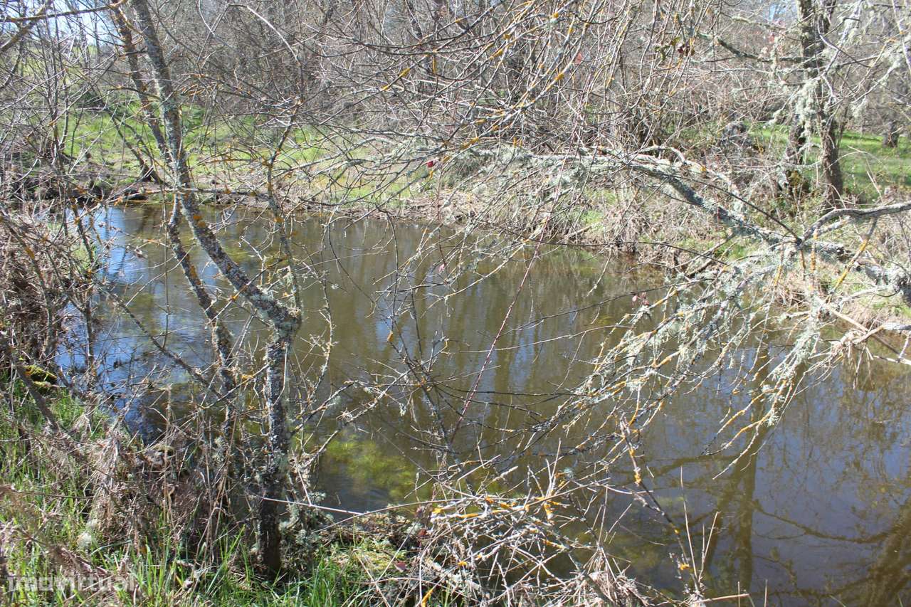 Terreno rústico, Miranda do Douro - Grande imagem: 4/11