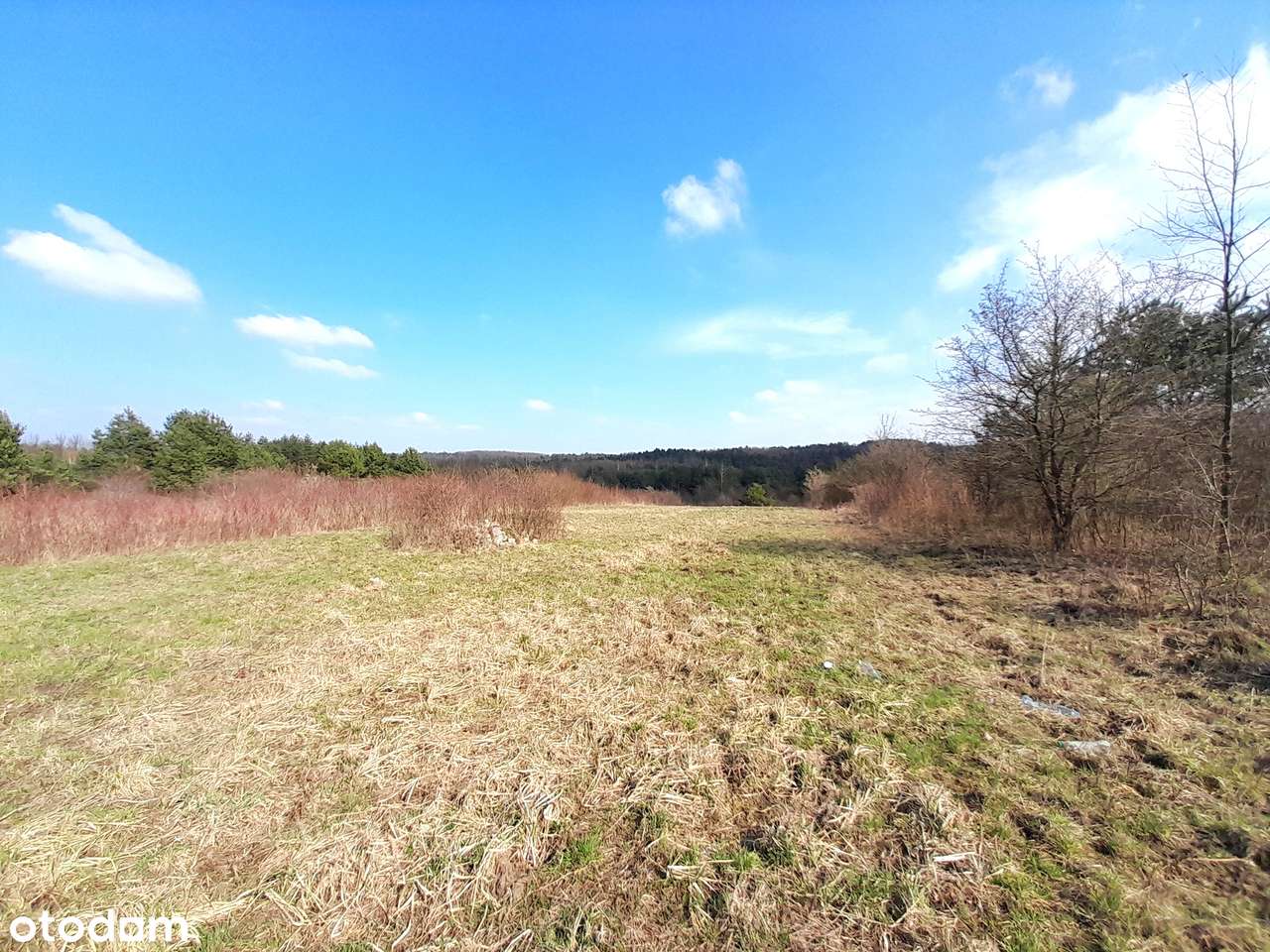 Sprzedam dużą działkę z warunkami zabudowy - Płaza ul. Kossaka-6