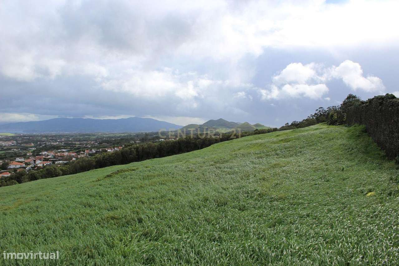 Terreno Rustico com 13 Alq.  Vista Mar e Serra - Grande imagem: 3/8