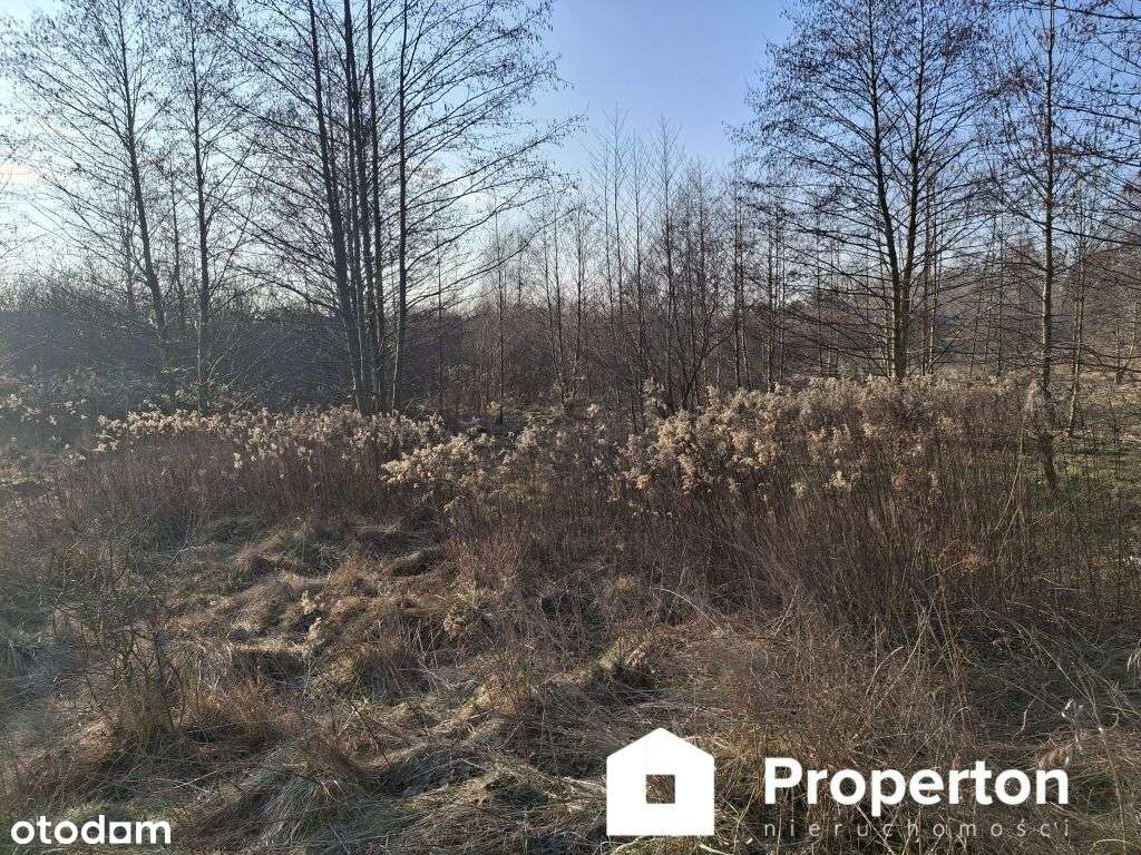 Działka o pow. 8900 m²  Radziejowice-Parcel - Pełny obrazek: 5/5