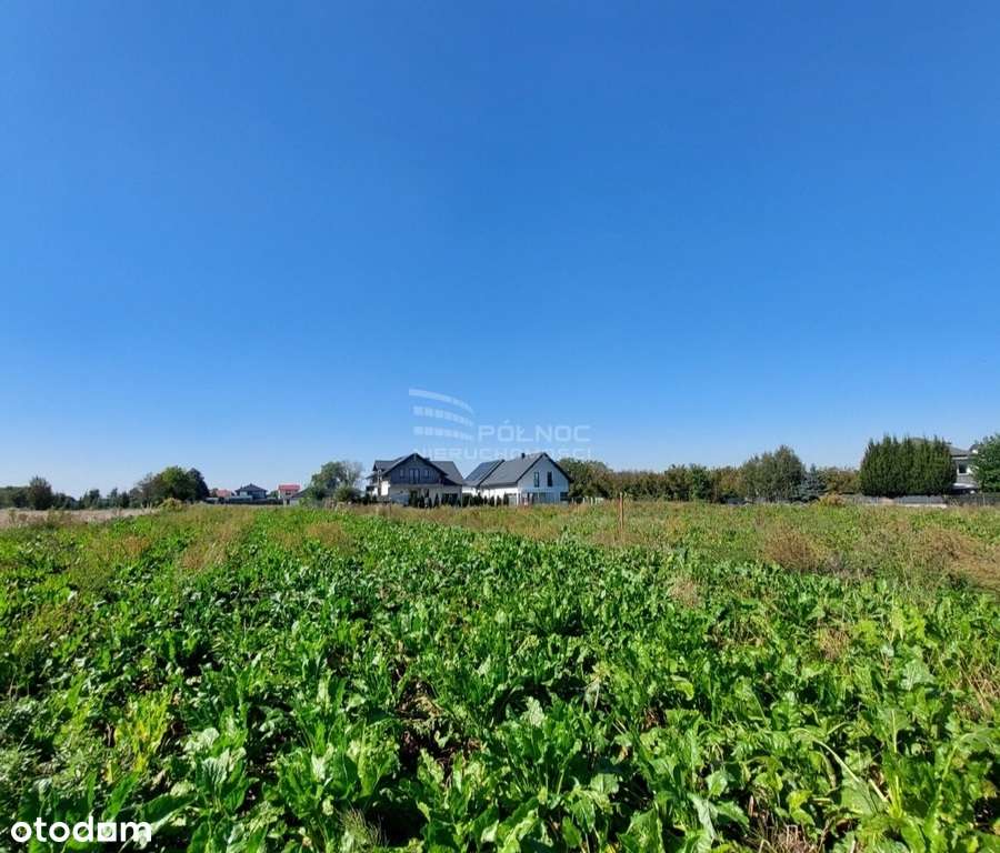 Działka w Kalinówce z wydanym WZ 12a w Kalinówce - Pełny obrazek: 1/7