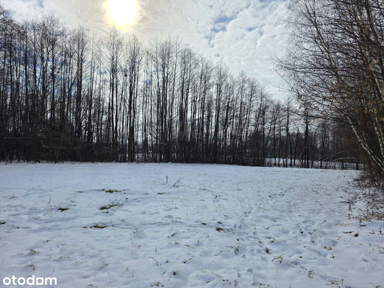 Działka 19 arów – idealna na rekreację | Wójtowa-8