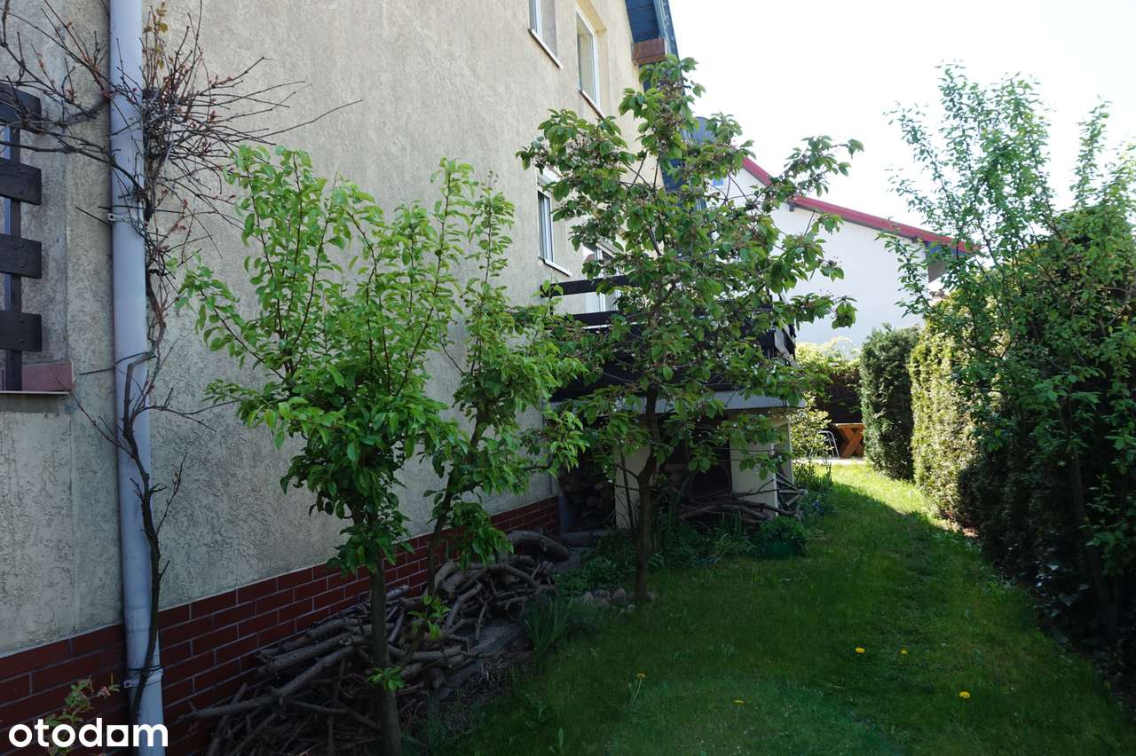 Dom nad morzem z wyposażeniem - Pełny obrazek: 3/17