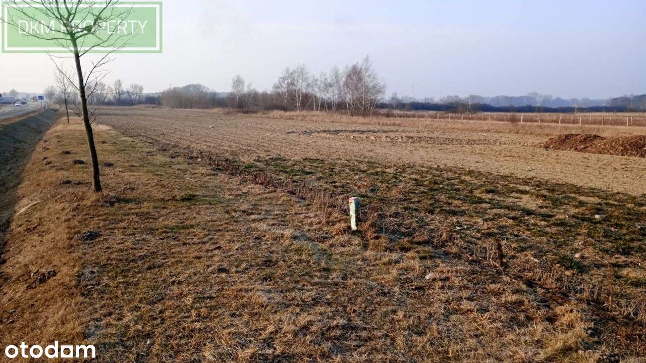 Sprzedam nieruchomość gruntowa (inwestycyjna) - Pełny obrazek: 4/13