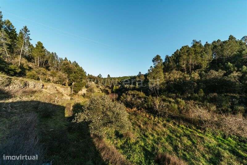 Terreno Rústico / Covilhã, Casegas - Grande imagem: 5/20