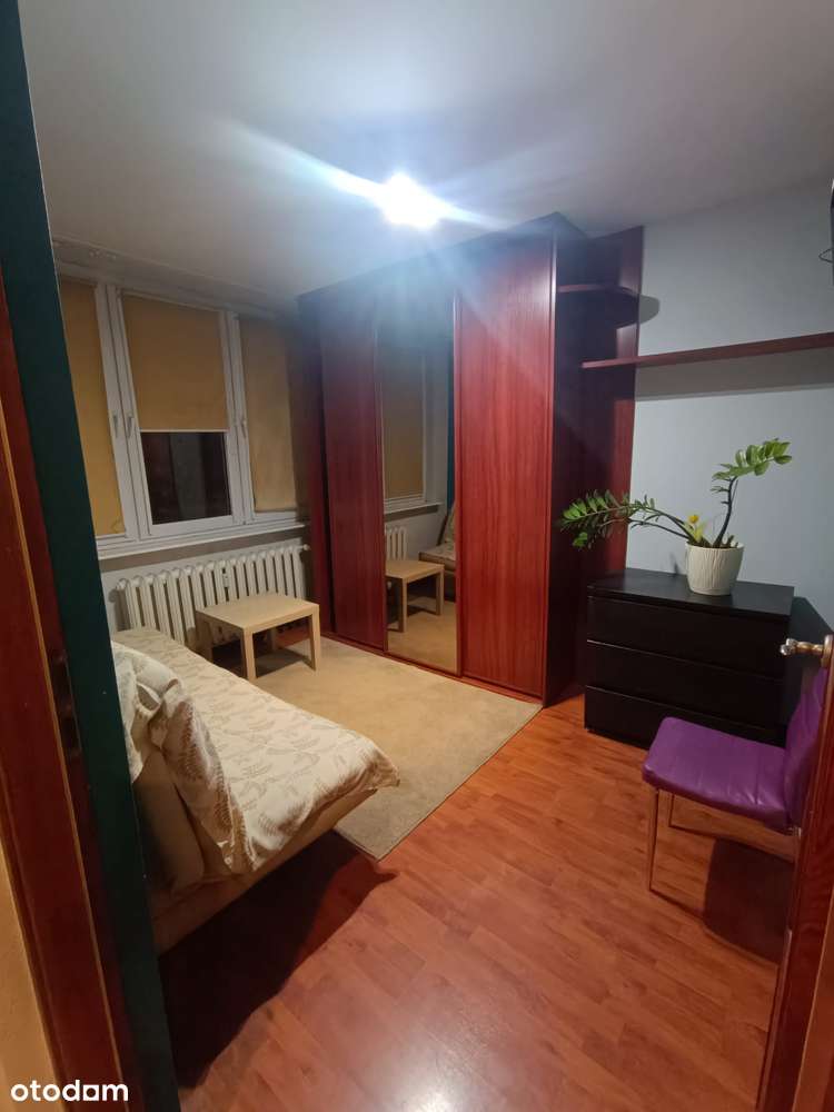 Pogoń, 2 niezależne  pokoje, obok uczelni-15