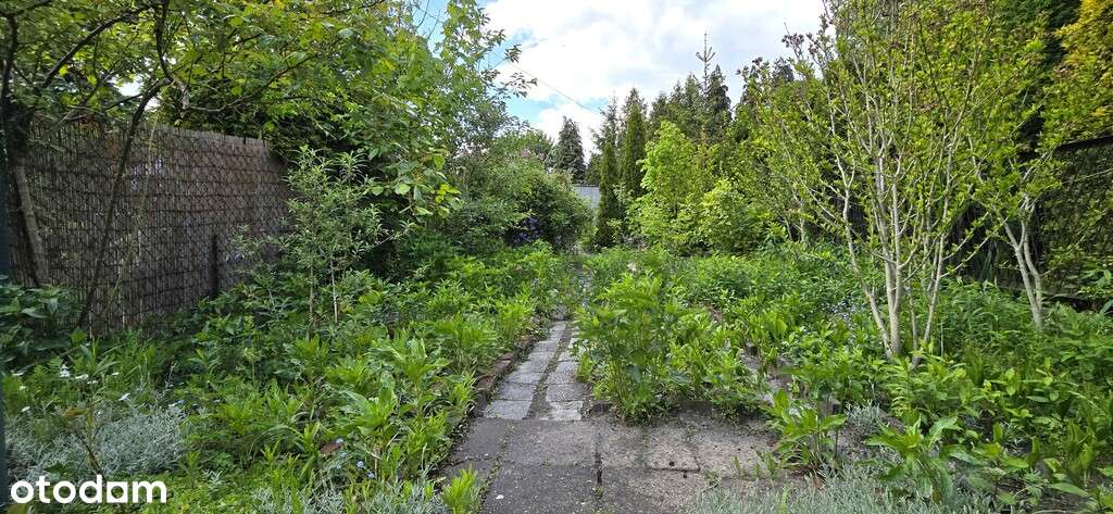 Mieszkanie z ogrodem Zabrze-Maciejów blisko Gliwic-10