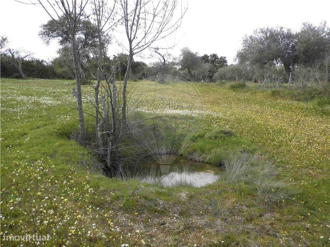 Quinta T0 para venda - Grande imagem: 4/23