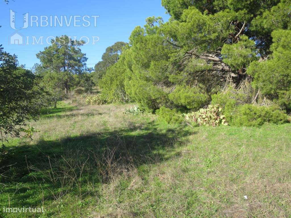 Lote de terreno na estrada de Quarteira, Algarve - Grande imagem: 5/11