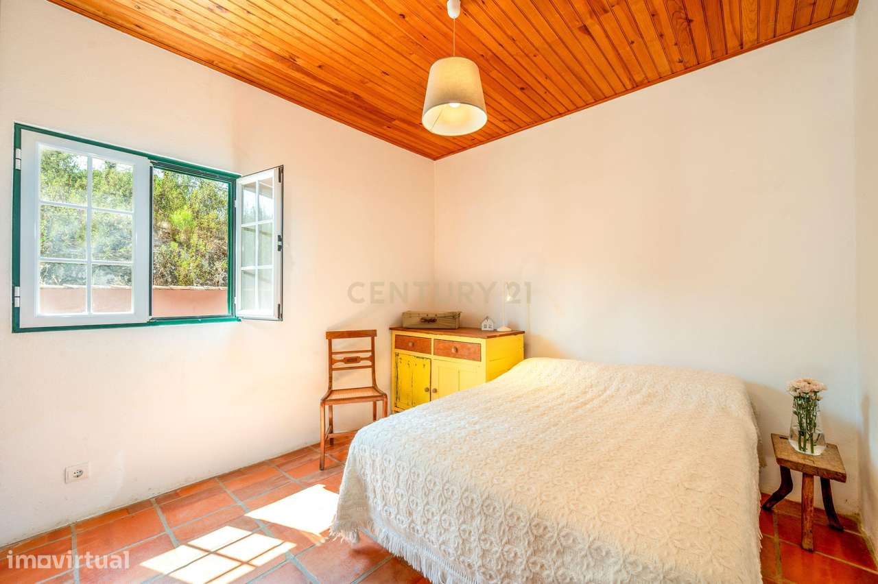 Moradia em Farinha Branca, Montargil-10