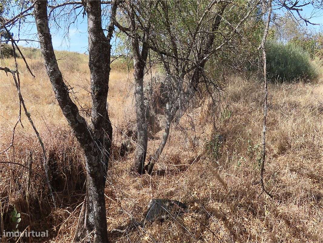 Quinta  para venda-44