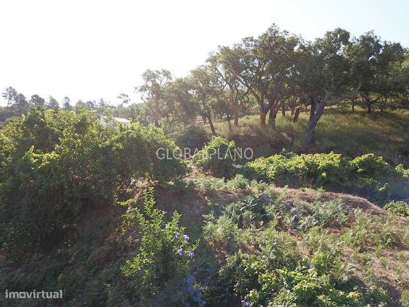 Moradia Térrea - Grande imagem: 5/12