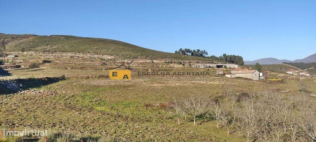 Quinta em Baião - Grande imagem: 5/22