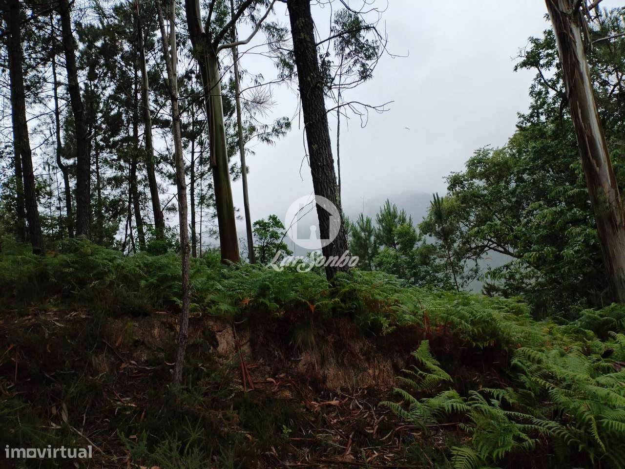 Terreno de 1100m² no Parque Natural do Gerês - Grande imagem: 2/10