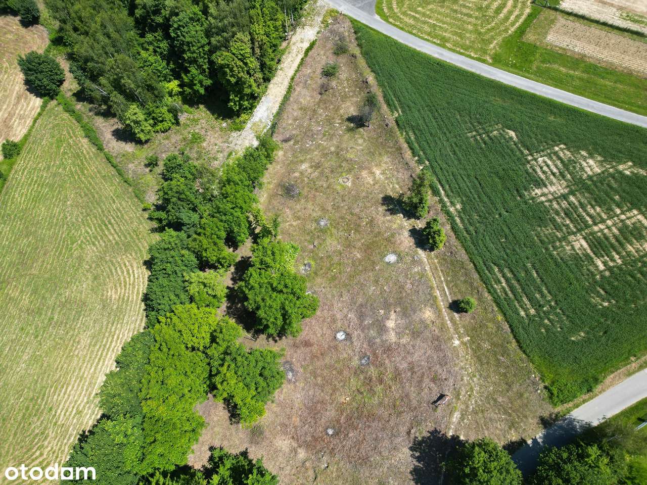 Działka budowlana w Dębicy ul. Polna WZ - Pełny obrazek: 5/6
