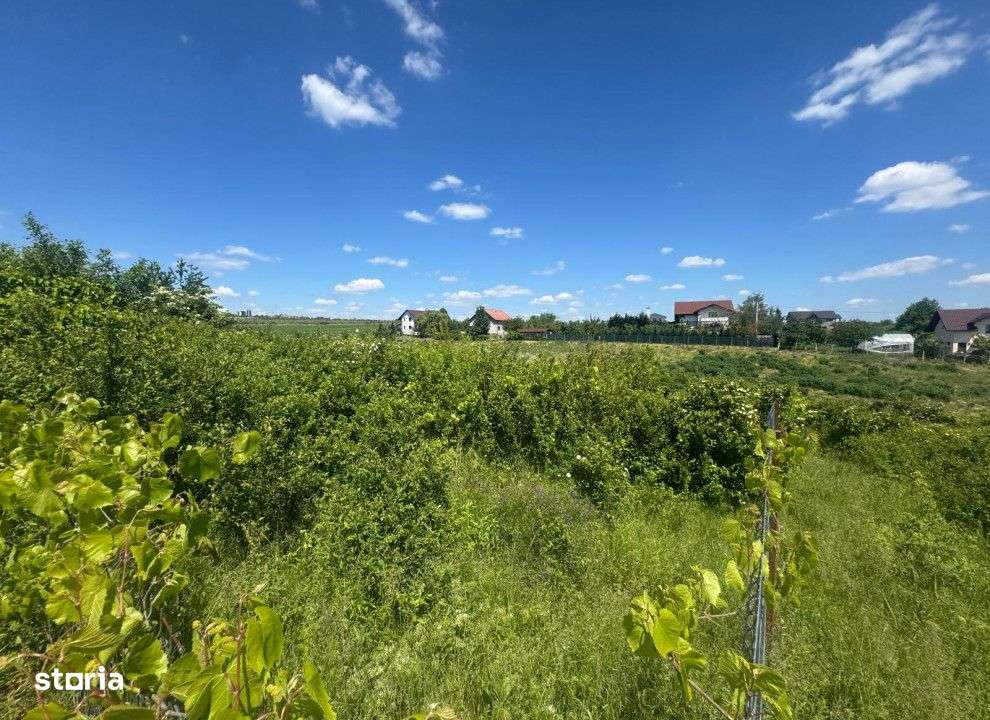 Teren intravilan Copou , 671 metri Cod:158590 - Imagine principală: 3/6