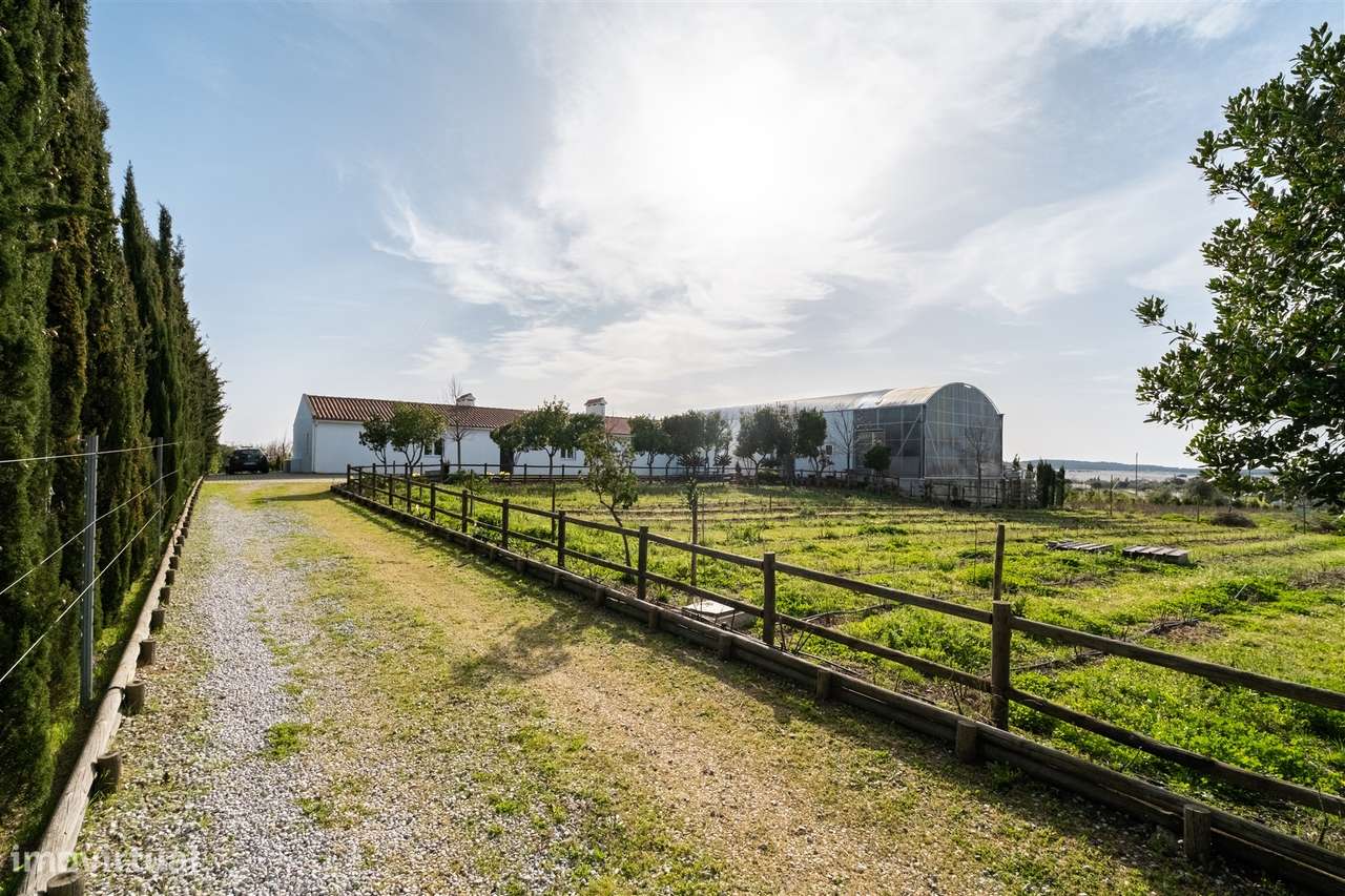 Quinta Biológica - Monte de Palma em Sao Manços com negócio.-45