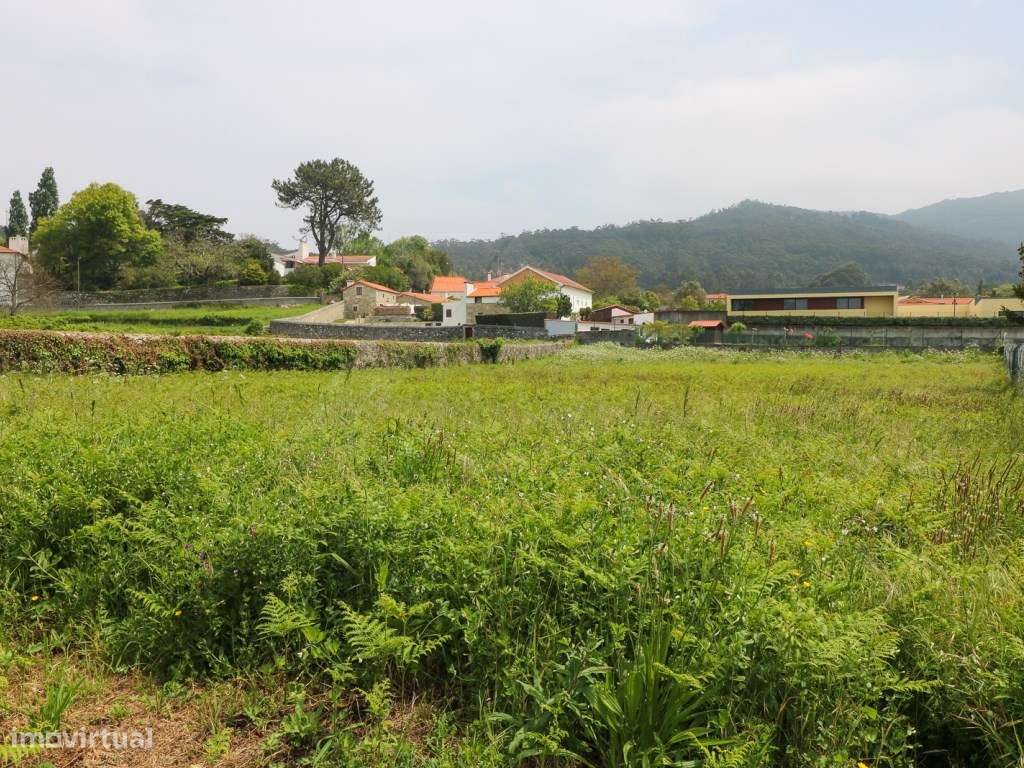 Terreno com área construtiva | Viana do Castelo | Afife - Grande imagem: 2/4