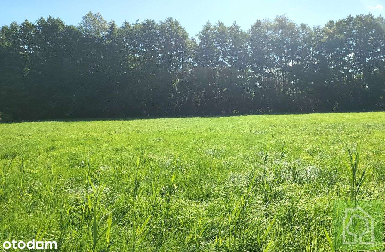 Działka, 1 872 m², Stary Toruń-9