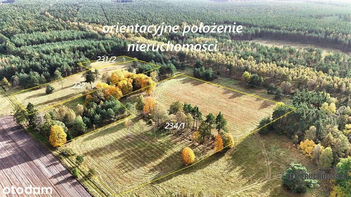 Grunty pod lasem w Świerczyna - na raty - Pełny obrazek: 5/20