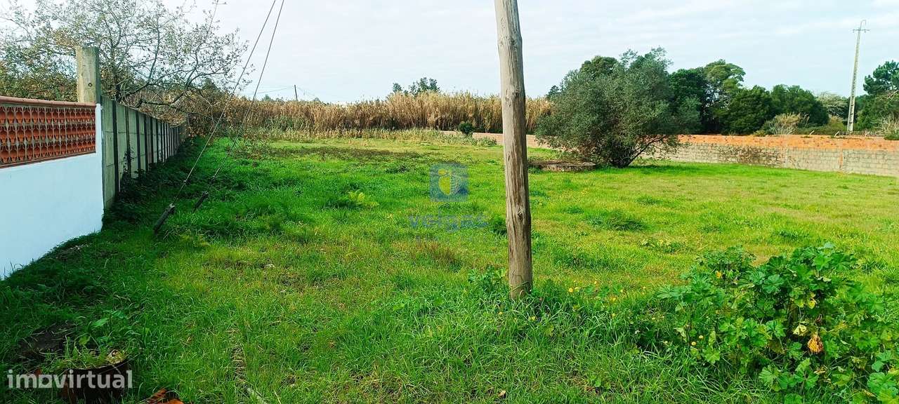 Armazém industrial com 4.107m2 de área e 7.300m2 de terreno, Marinha G-26