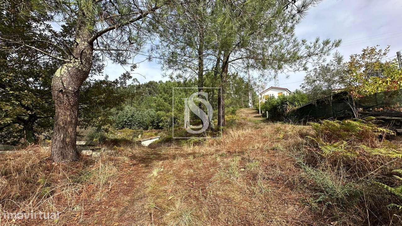 Terreno rústico em Padronelo - Grande imagem: 5/15