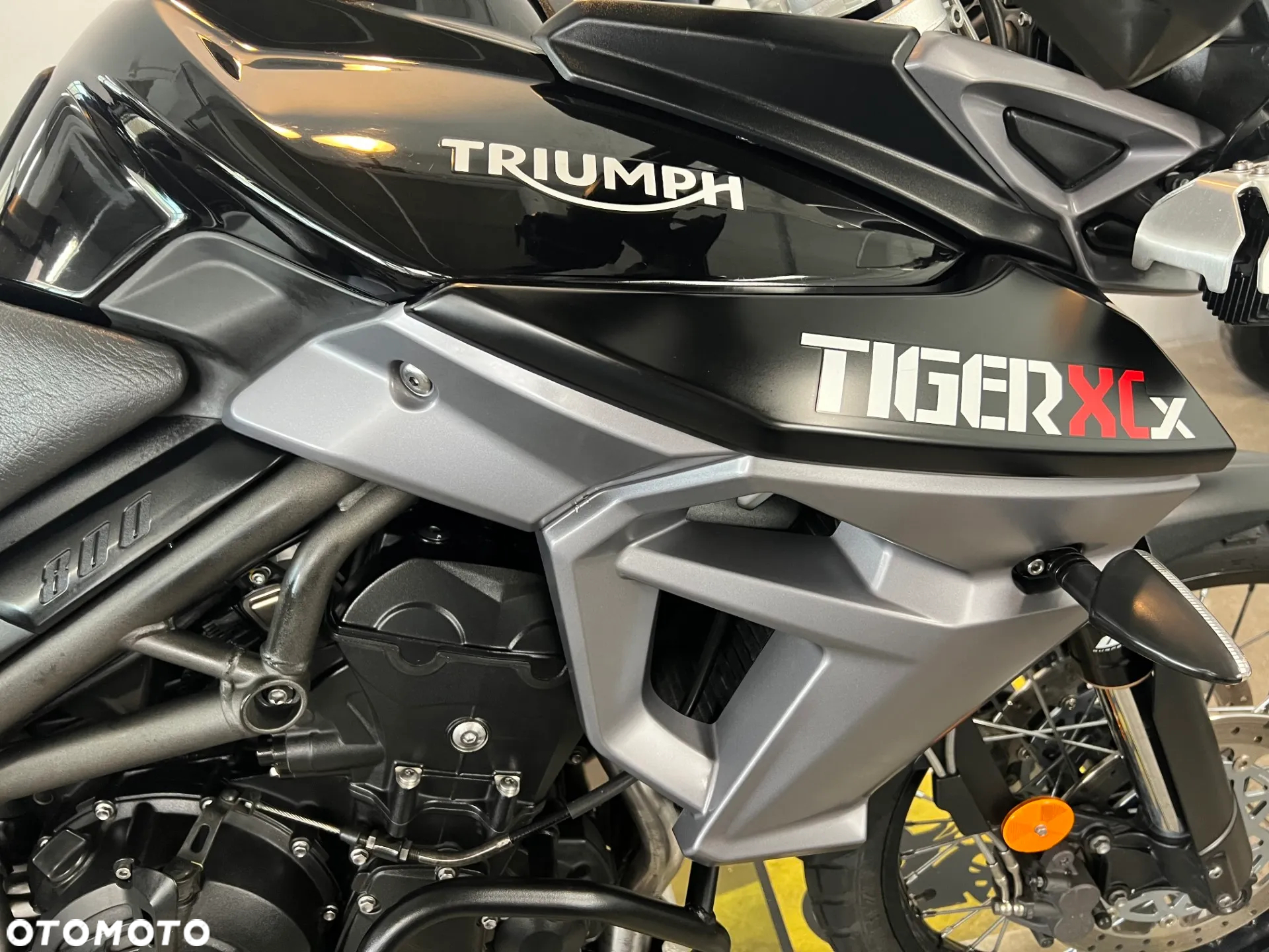 Triumph Tiger - 9