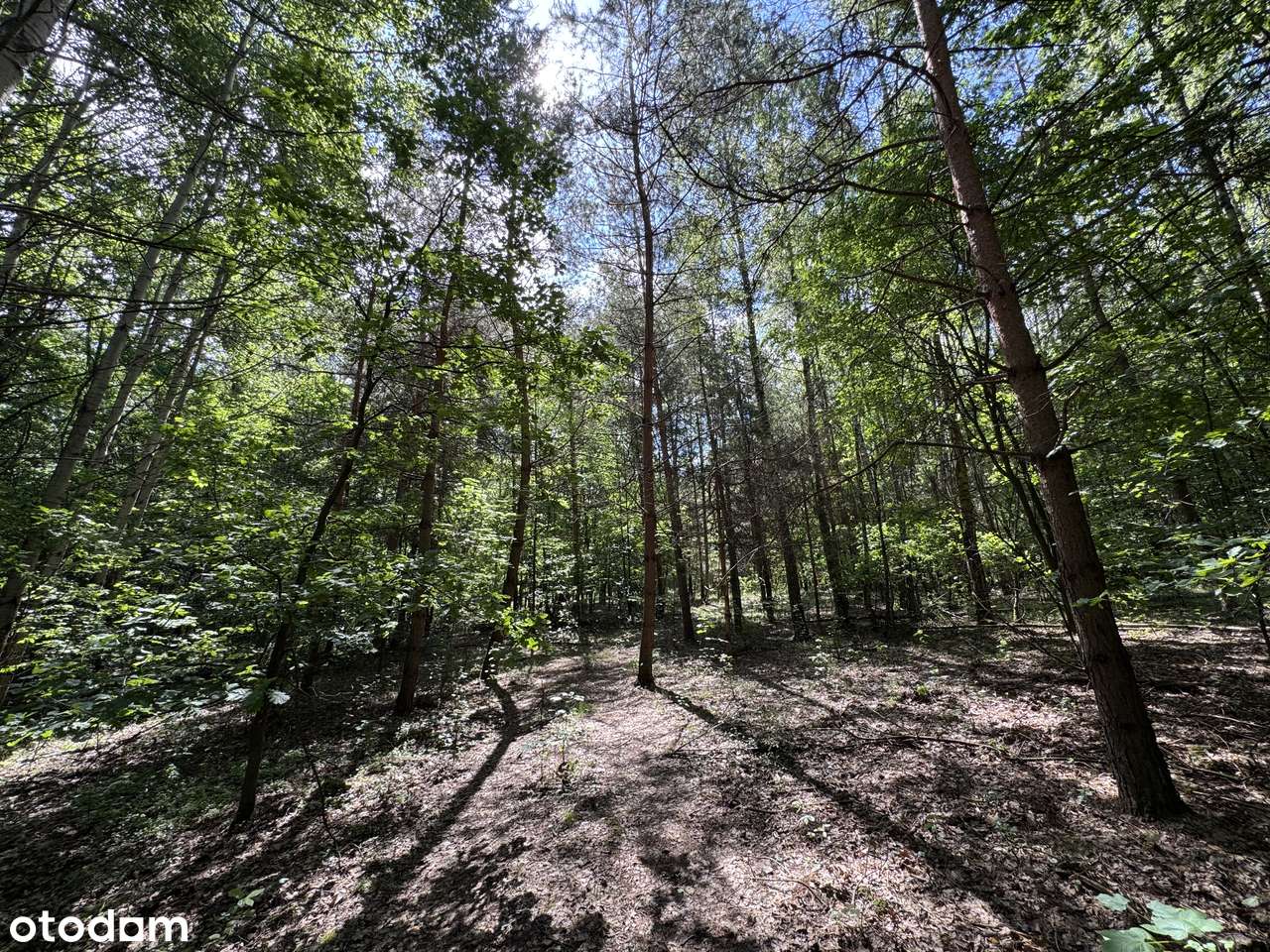 Wyjątkowa oferta! Działka z pozwoleniem na budowę zagrodową!-2