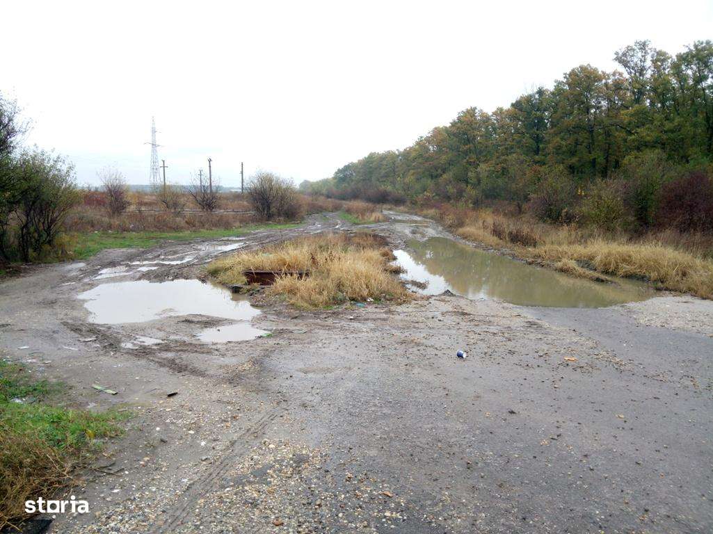 Vand Teren pt. PARC FOTOVOLTAIC, BENZINARIE, HALE - DN5 Buc.-Gr. Km.45-17