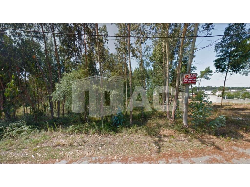 TERRENO - Ponte da Pedra, Leiria - Grande imagem: 3/3