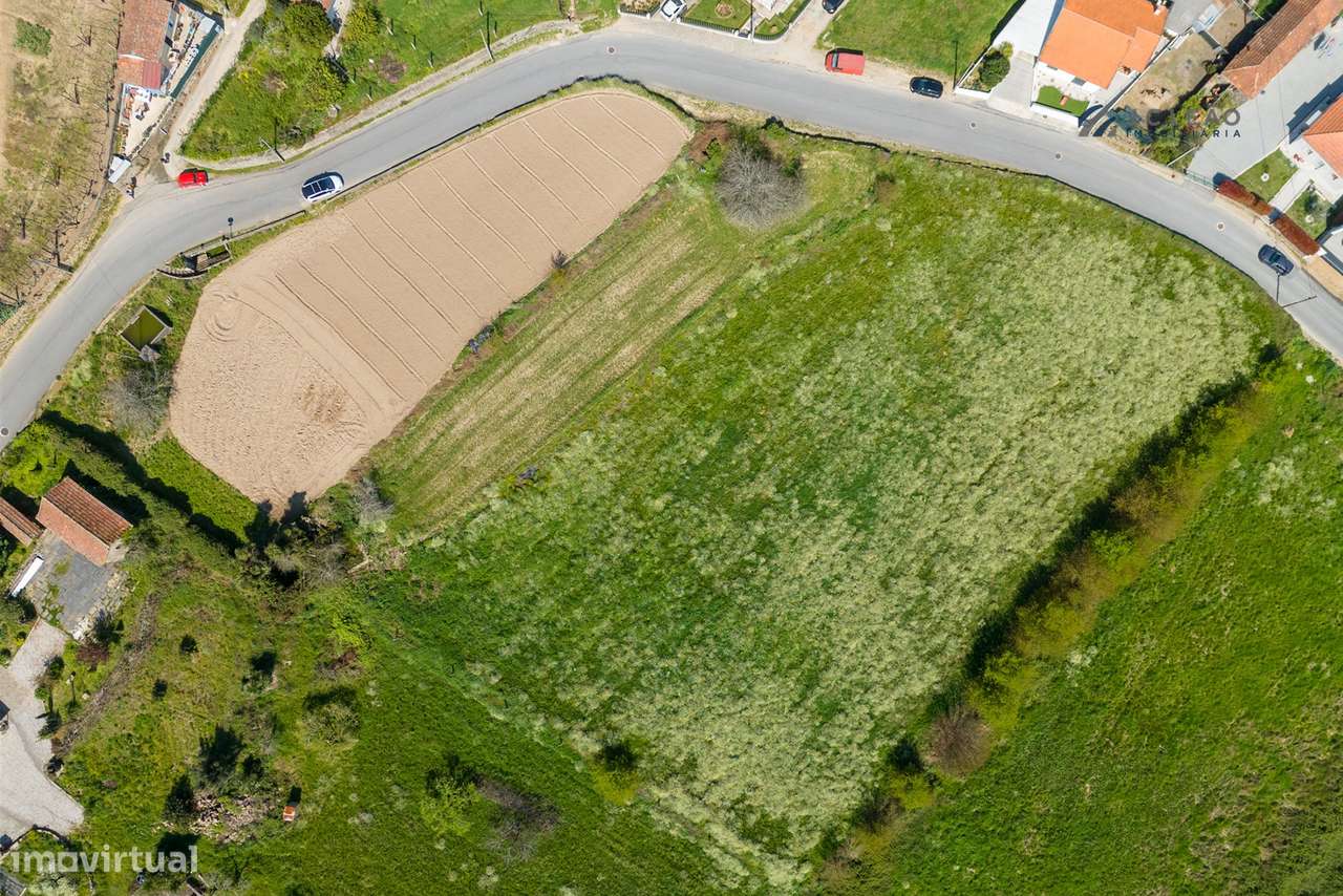 Terreno em Gondalães – 7.779 m²-9