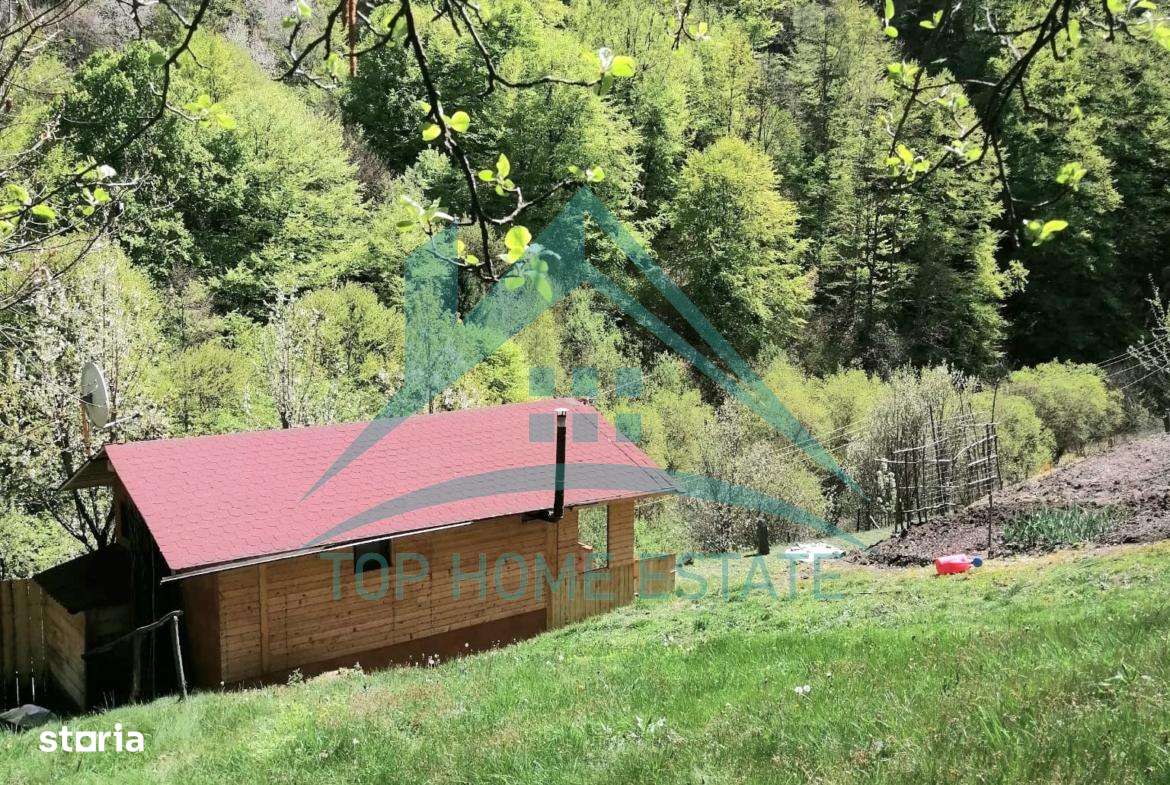Cabana cocheta de vanzare cu teren generos 3000 mp, Baisoara!