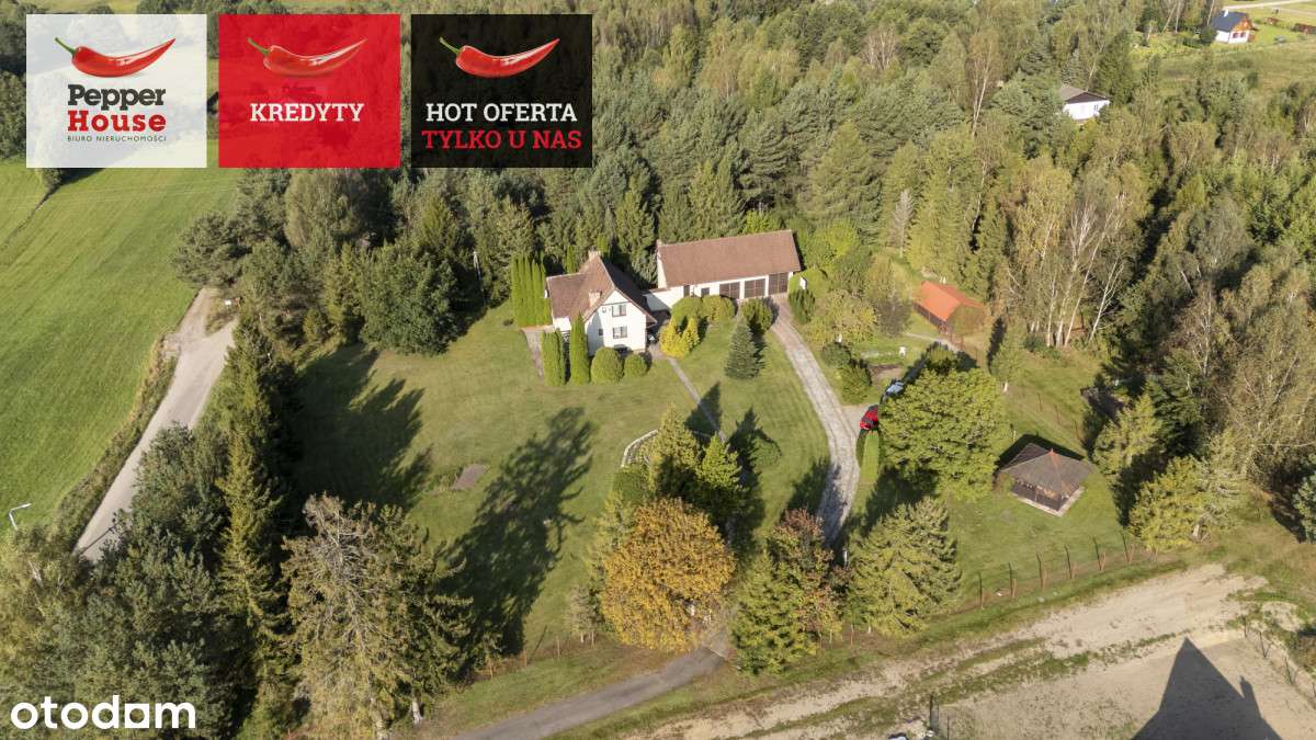 Piękna Działka Z Domem i Lasem W Sercu Kaszub! - Pełny obrazek: 3/20
