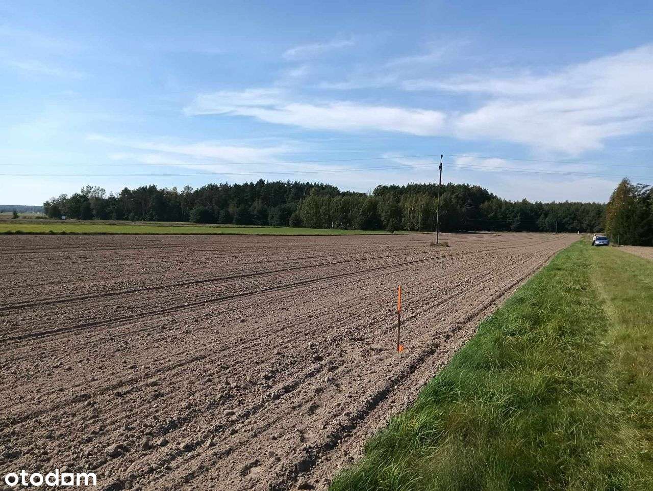 Sprzedam działki budowlane Czarnogłów gm.Dobre-11