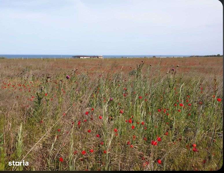 Vand/ Schimb Teren Corbu ideal investitie - Imagine principală: 4/4