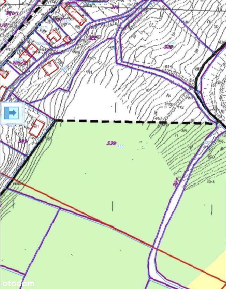 Działka w super cenie, Dziwiszów, powiat karkonoski - Pełny obrazek: 4/4