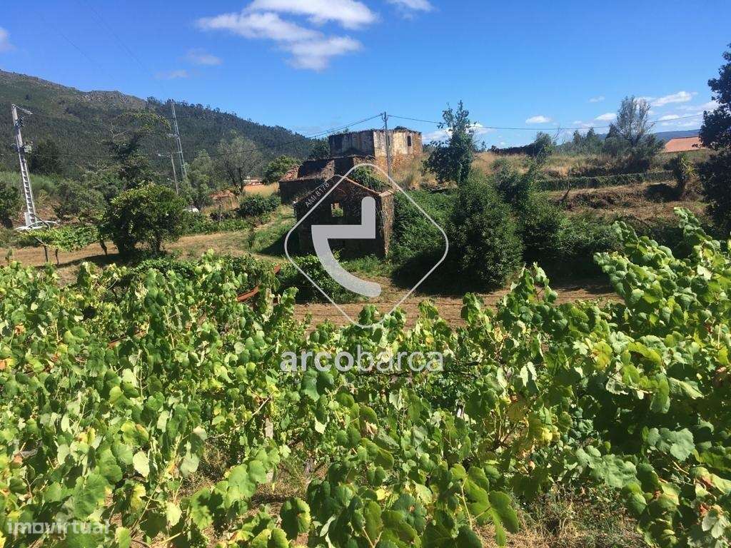 Quintinha ruinas p/restauro com 2520m2 - Moreira Lima - Ponte de Lima-32