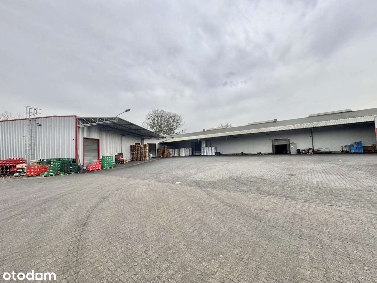 Sprzedam lub wynajmę Hala magazynowa Wągrowiec 3282 m2 - Pełny obrazek: 4/20