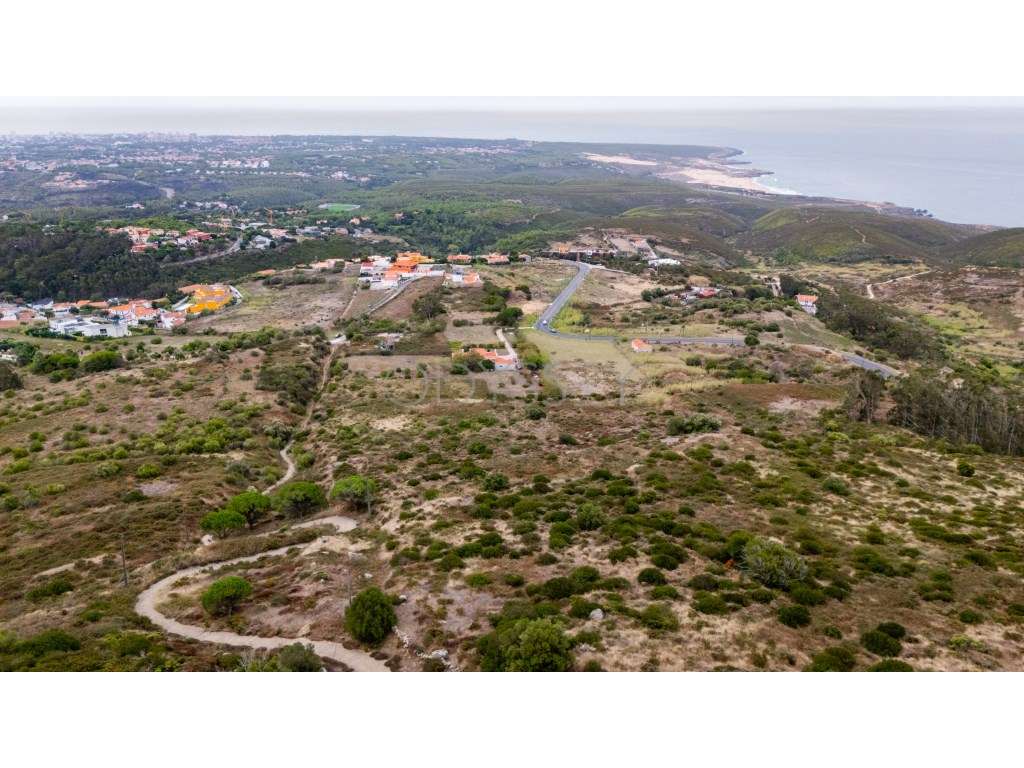Terreno Rústico à Venda - Fontainhas, Alcabideche (Cascais)-5