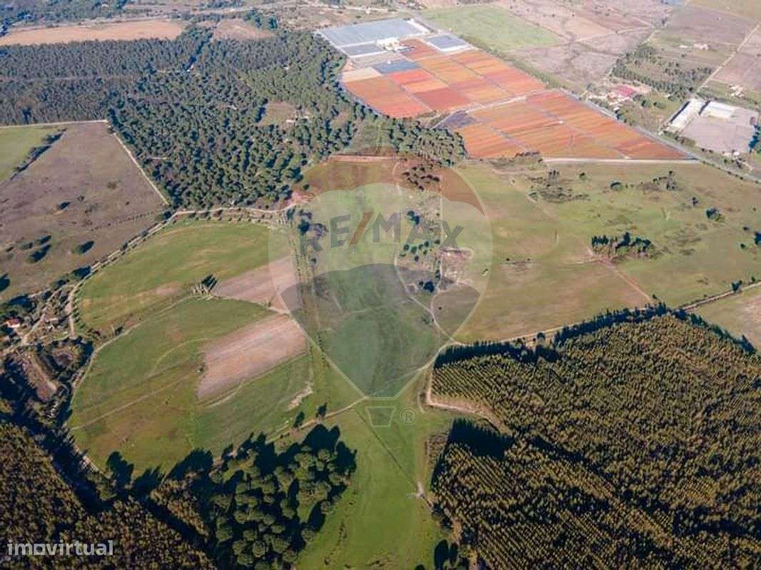 Terreno  para venda - Grande imagem: 4/9