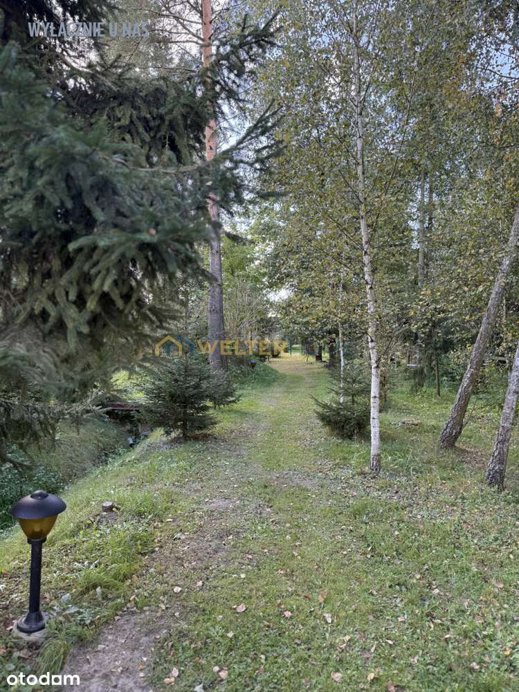 Piękna Nieruchomość, Działka 1,5 ha-15