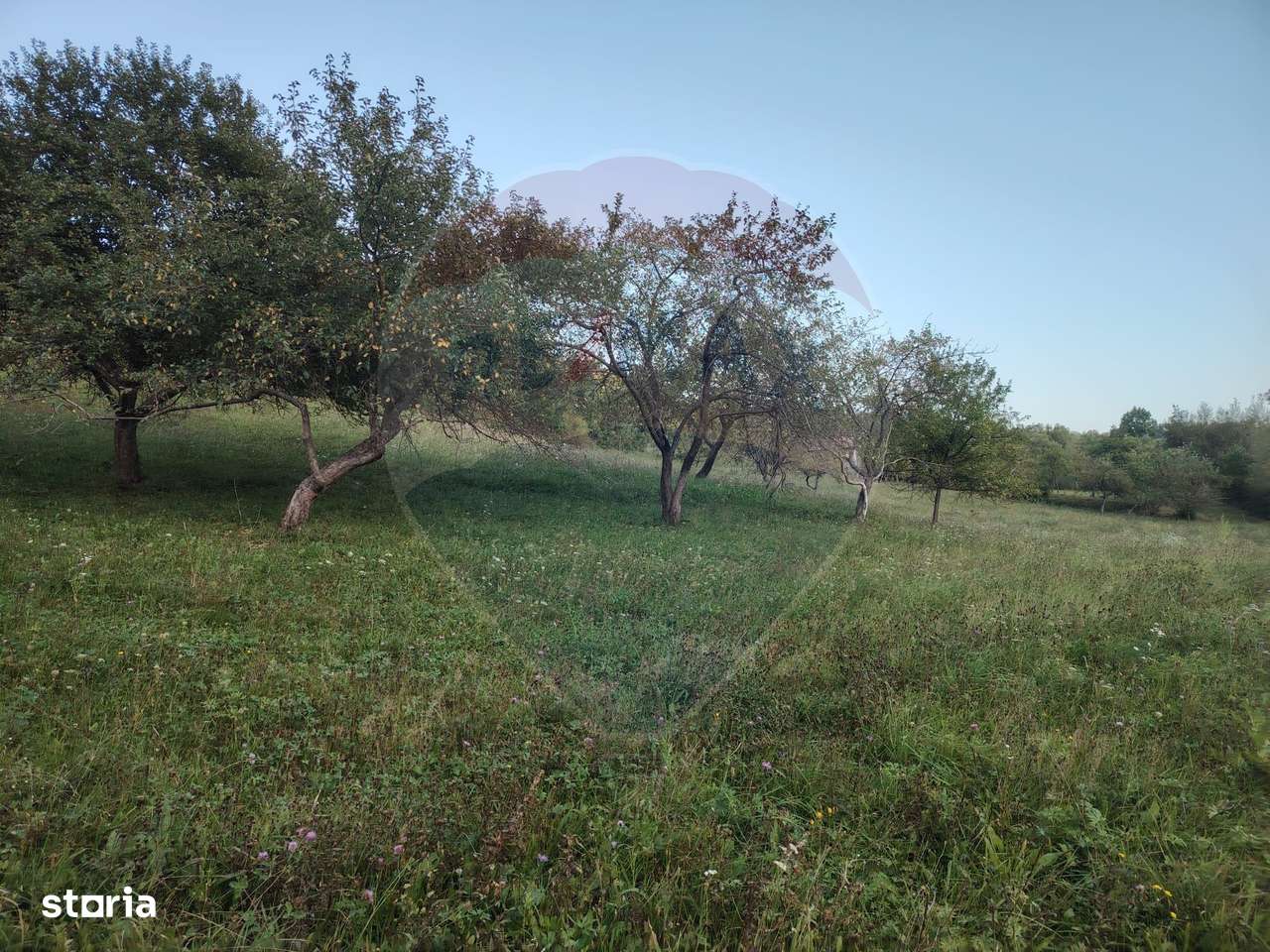 COMISION ZERO - Teren 2339 mp in Barsana - Imagine principală: 5/9