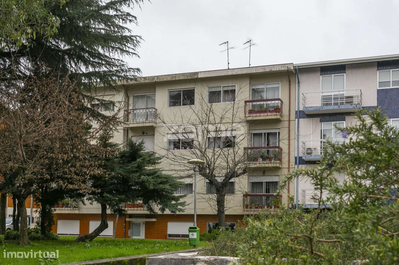 O T2+1 Que Todos Procuram - Grande imagem: 3/38