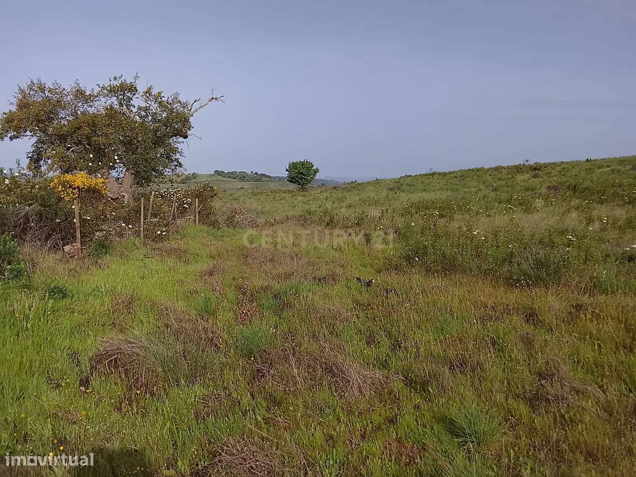 Terreno rústico 16.6ha Montalvão, Nisa-2