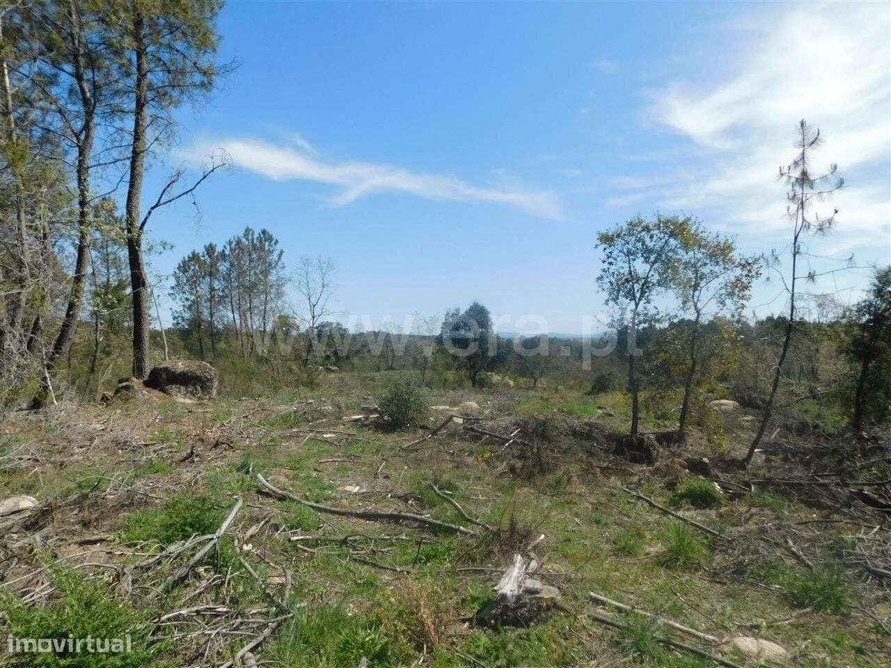 Terreno / Fundão, Póvoa da Atalaia - Grande imagem: 2/14