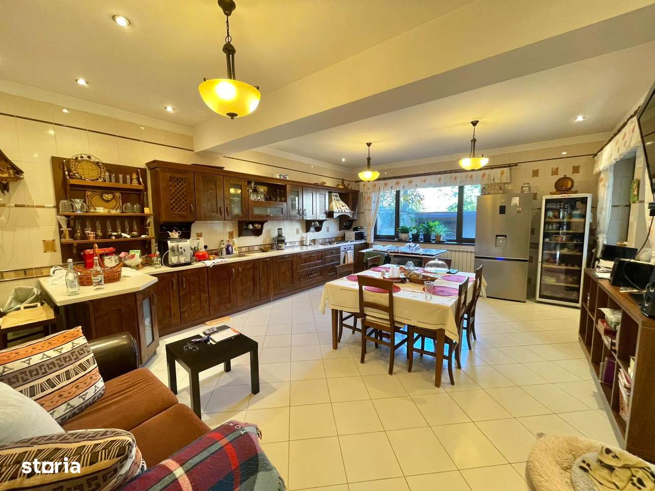 Casa - Damaroaia, Expozitiei, Herastrau-18