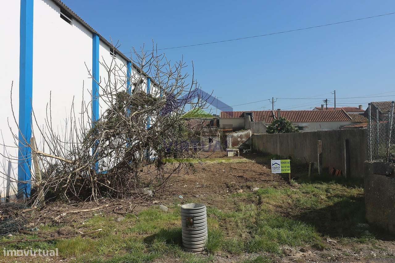 Moradia V2 com Terreno e Anexos - Bombarral - Delgada-15